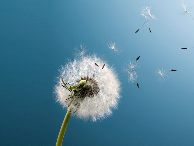 640x480 mobile phone wallpapers download - www.wallpaper-mobile.com